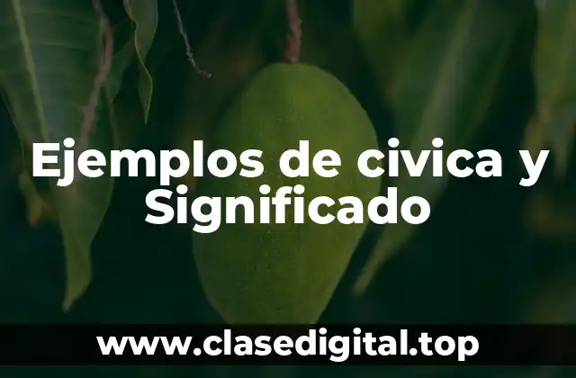 Ejemplos de civica y Significado
