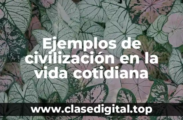 Ejemplos de civilización en la vida cotidiana