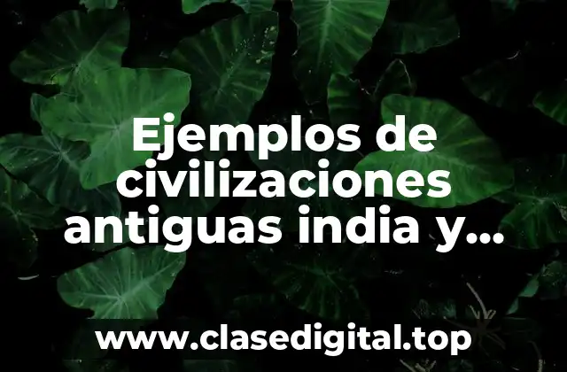 Ejemplos de civilizaciones antiguas india y Significado