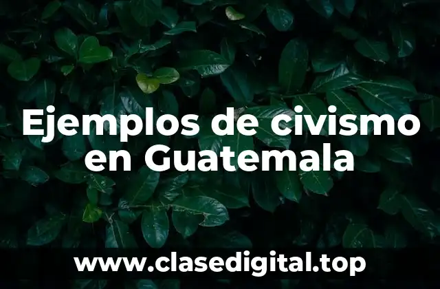 Ejemplos de civismo en Guatemala