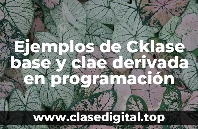Ejemplos de Cklase base y clae derivada en programación