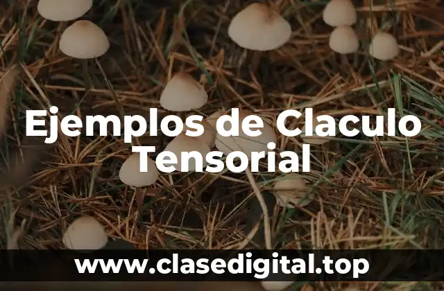 Ejemplos de Claculo Tensorial