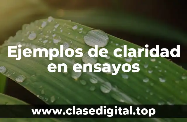 Ejemplos de claridad en ensayos