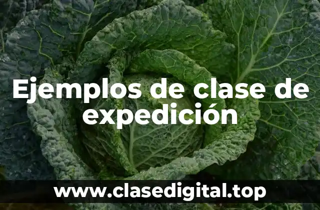 Ejemplos de clase de expedición