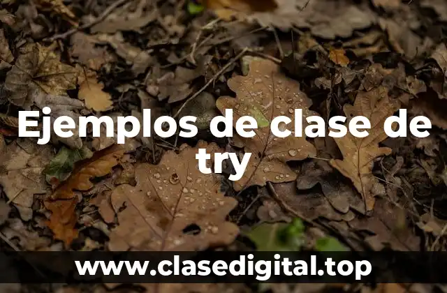 Ejemplos de clase de try