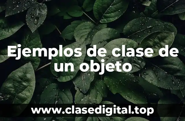 Ejemplos de clase de un objeto