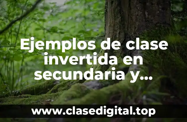 Ejemplos de clase invertida