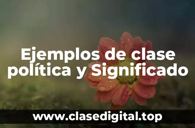 Ejemplos de clase política y Significado