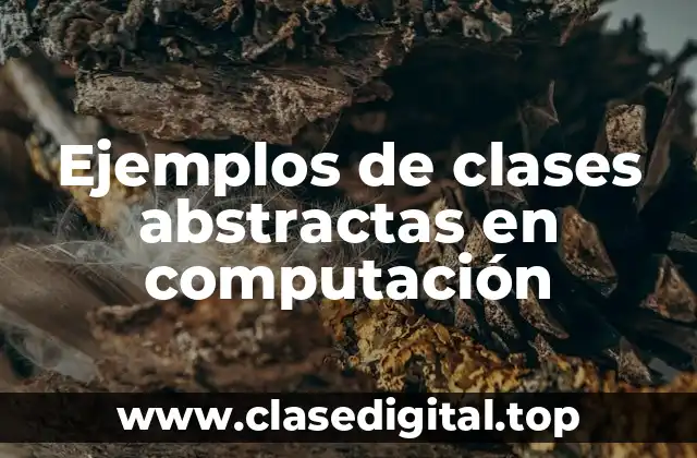 Ejemplos de clases abstractas en computación