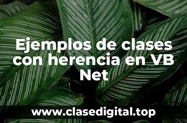 Ejemplos de clases con herencia en VB Net
