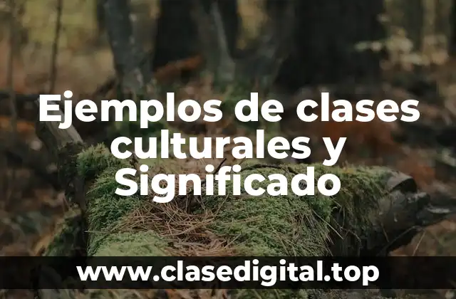 Ejemplos de clases culturales y Significado
