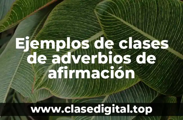 Ejemplos de clases de adverbios de afirmación