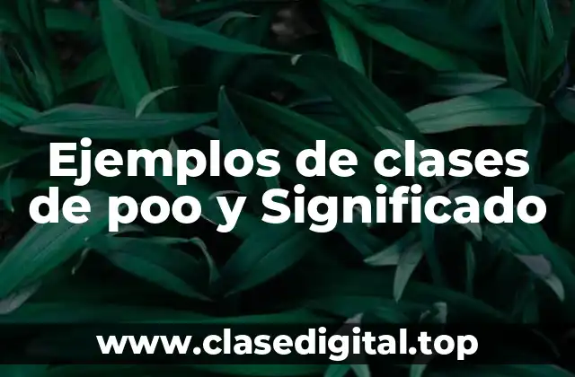 Ejemplos de clases de poo y Significado