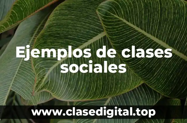Ejemplos de clases sociales