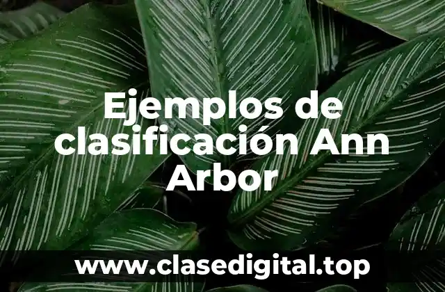 Ejemplos de clasificación Ann Arbor