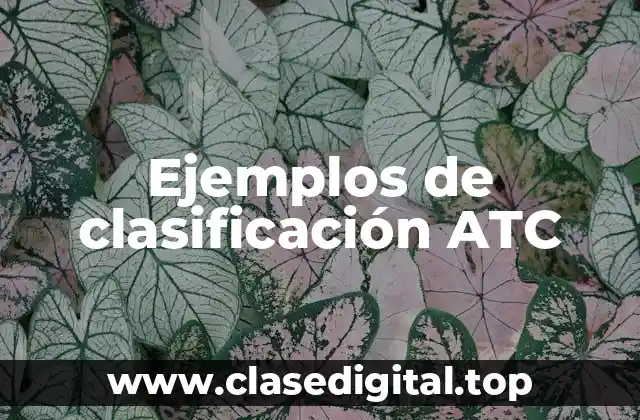 Ejemplos de clasificación ATC