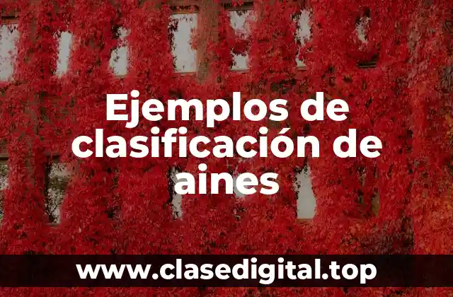 Ejemplos de clasificación de aines