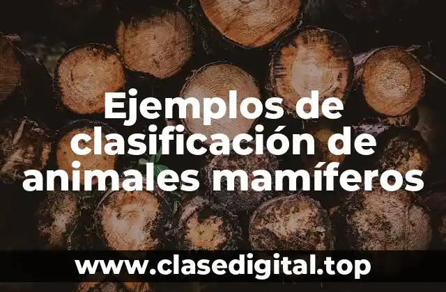 Ejemplos de clasificación de animales mamíferos