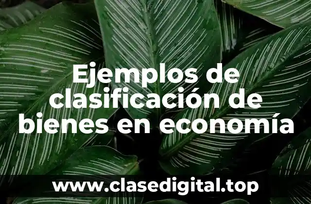 Ejemplos de clasificación de bienes en economía