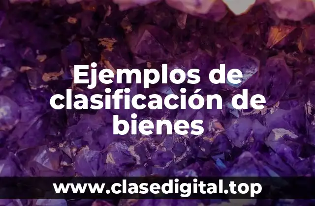 Ejemplos de clasificación de bienes