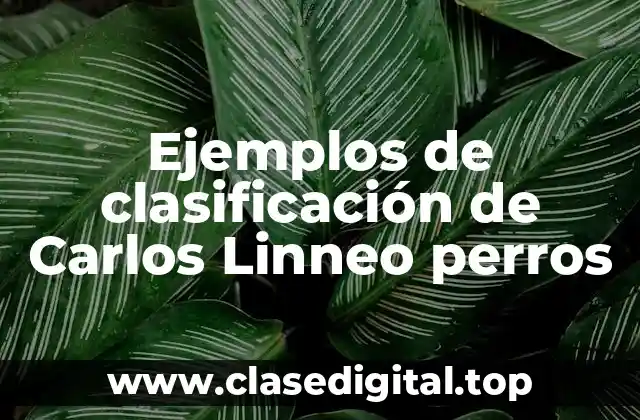 Ejemplos de clasificación de Carlos Linneo perros