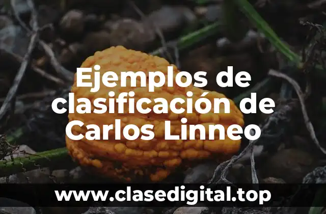 Ejemplos de clasificación de Carlos Linneo