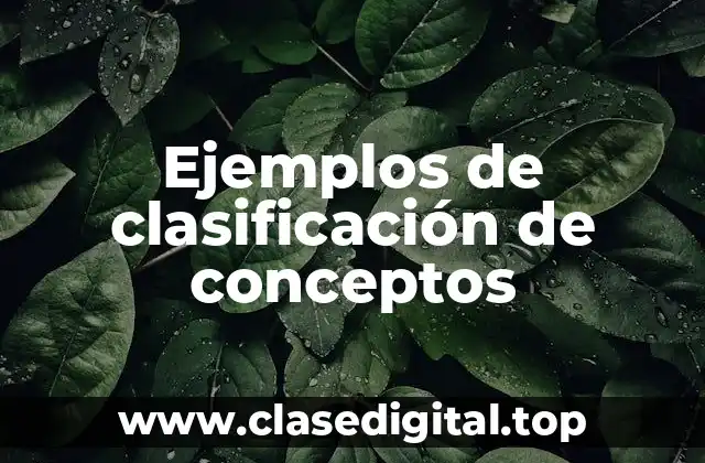 Ejemplos de clasificación de conceptos