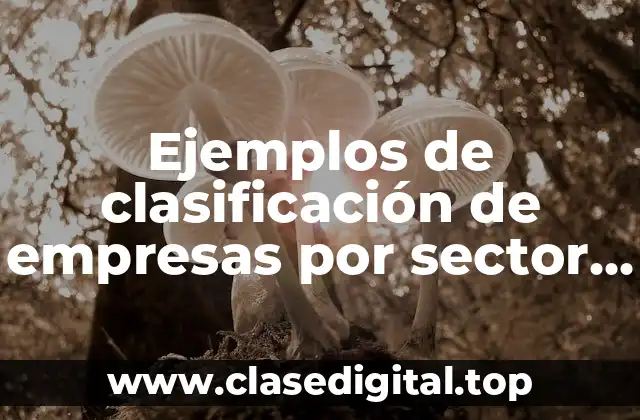 Ejemplos de clasificación de empresas por sector económico