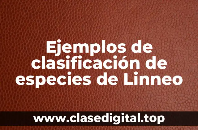 Ejemplos de clasificación de especies de Linneo