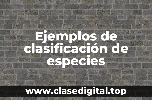 Ejemplos de clasificación de especies