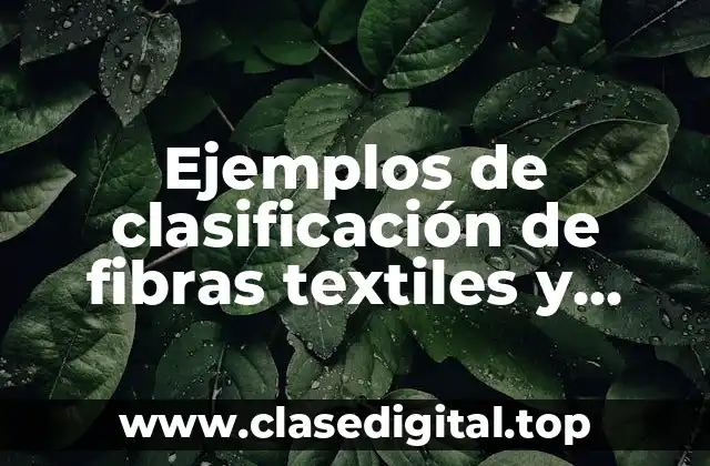 Ejemplos de clasificación de fibras textiles y Significado