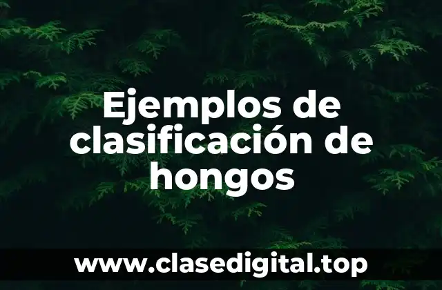 Ejemplos de clasificación de hongos