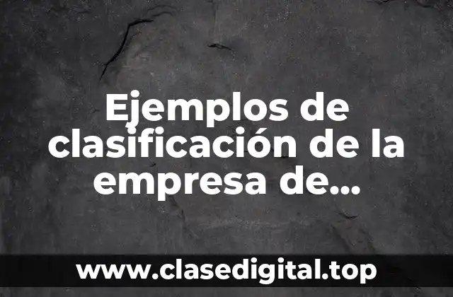 Ejemplos de clasificación de la empresa de shampoo