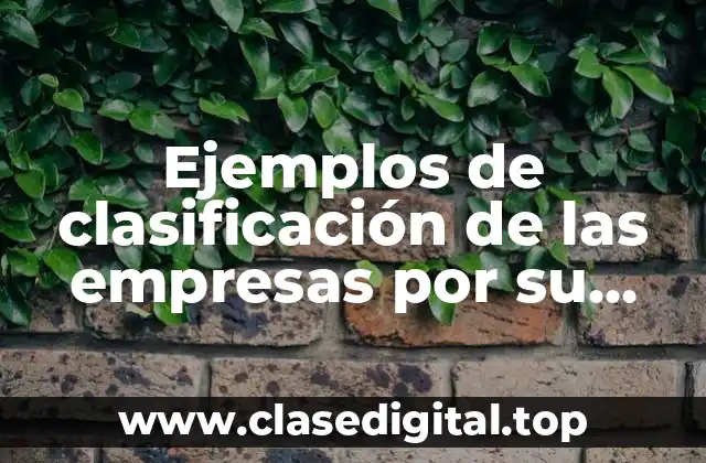 Ejemplos de clasificación de las empresas por su tecnología