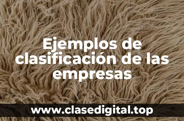 Ejemplos de clasificación de las empresas
