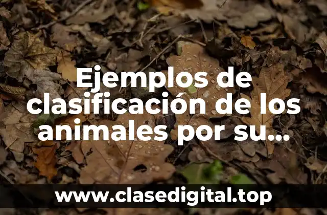 Ejemplos de clasificación de los animales por su alimentación y Significado