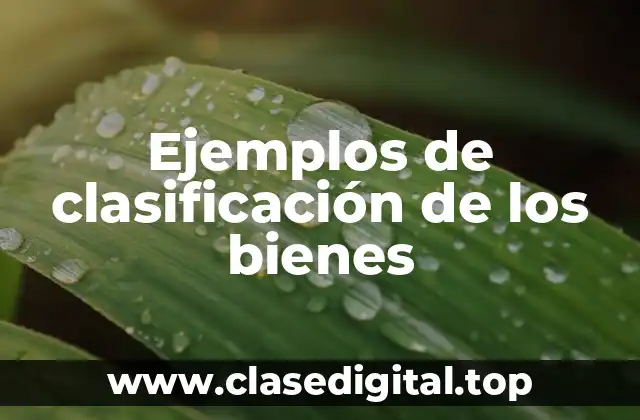 Ejemplos de clasificación de los bienes