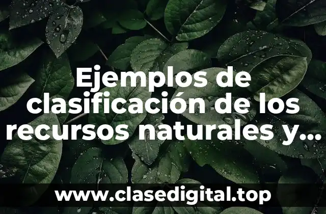 Ejemplos de clasificación de los recursos naturales y Significado