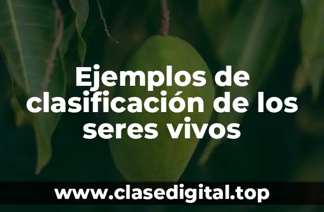 Ejemplos de clasificación de los seres vivos