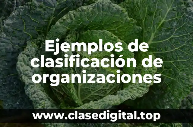 Ejemplos de clasificación de organizaciones
