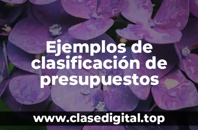 Ejemplos de clasificación de presupuestos