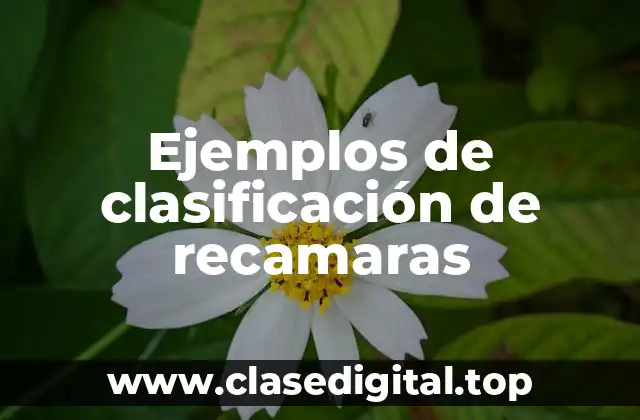 Ejemplos de clasificación de recamaras