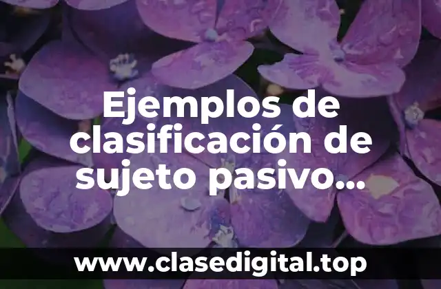 Ejemplos de clasificación de sujeto pasivo derecho fiscal