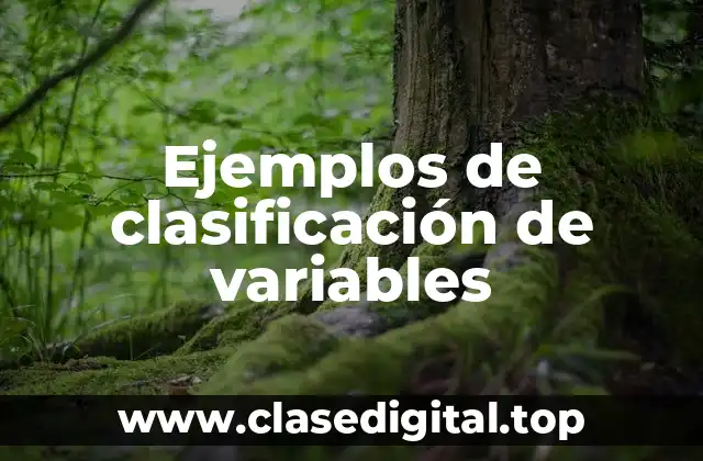 Ejemplos de clasificación de variables