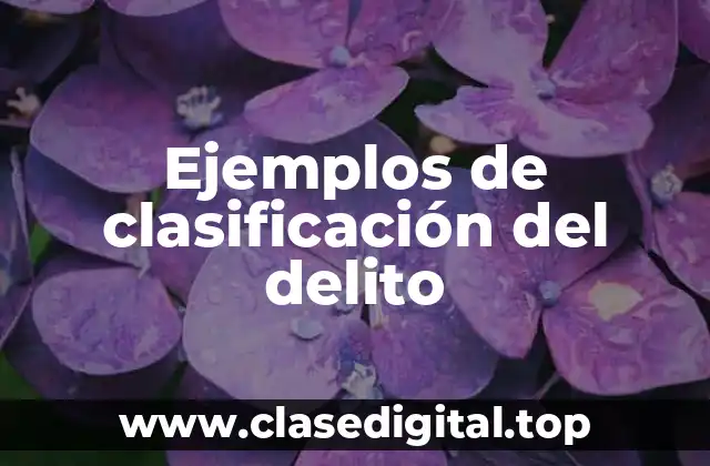 Ejemplos de clasificación del delito