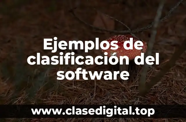 Ejemplos de clasificación del software