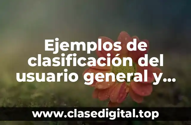 Ejemplos de clasificación del usuario general y justificación