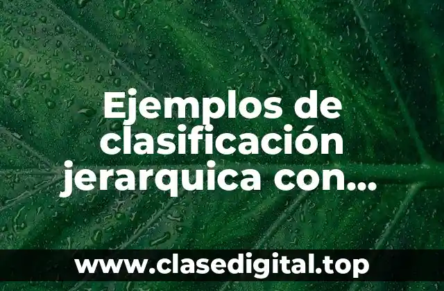 Ejemplos de clasificación jerarquica con personas