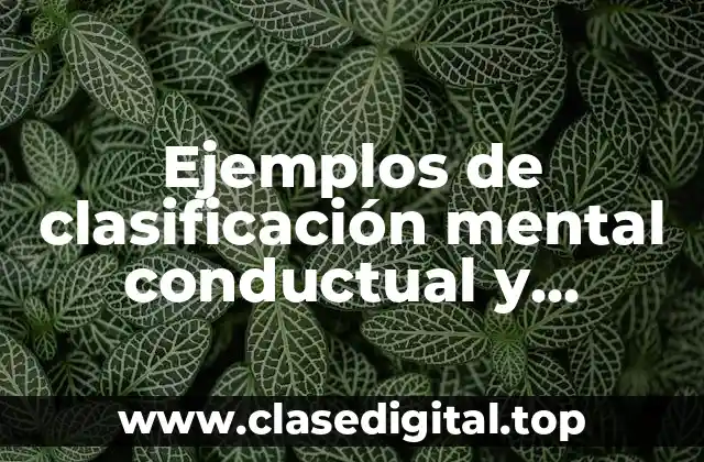 Ejemplos de clasificación mental conductual y relacional