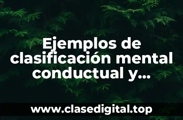 Ejemplos de clasificación mental conductual y relacional holiday
